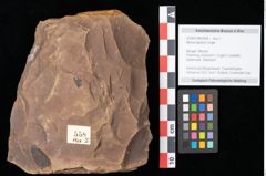 Foto (Objekt + Etikett) von Myrica lignitum Unger (NHMW-GEO-2024-0188-0558)